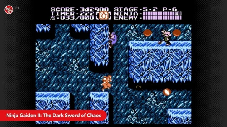 Battletoads, Ninja Gaiden II, And More Come To Nintendo Switch Online