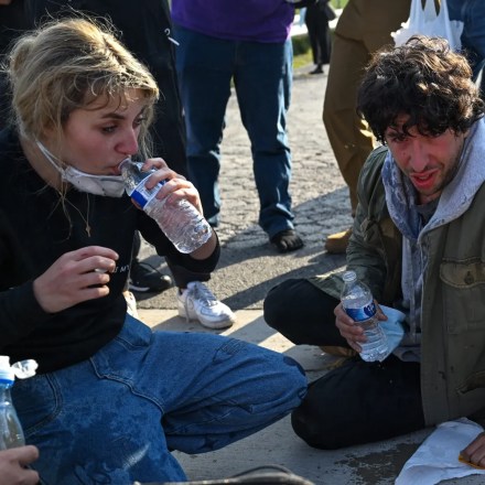 Kat Abughazaleh on the Right to Protest