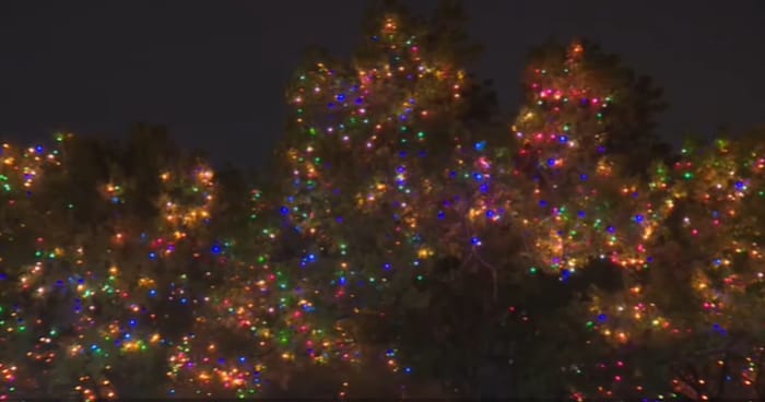 UIW’s annual ‘Light the Way’ festival planned for Saturday