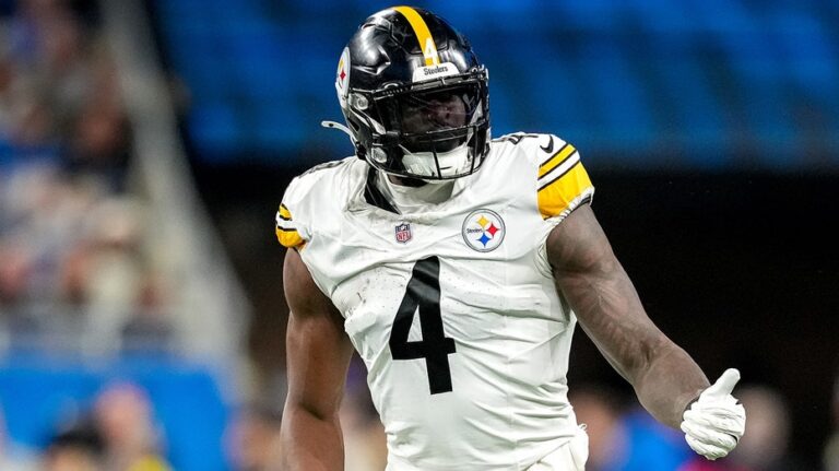 Lions fan involved in altercation with Steelers star denies using derogatory language toward player