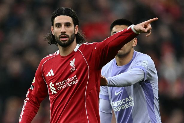 Liverpool handed major double injury boost as Arne Slot confirms timeline for Cody Gakpo return