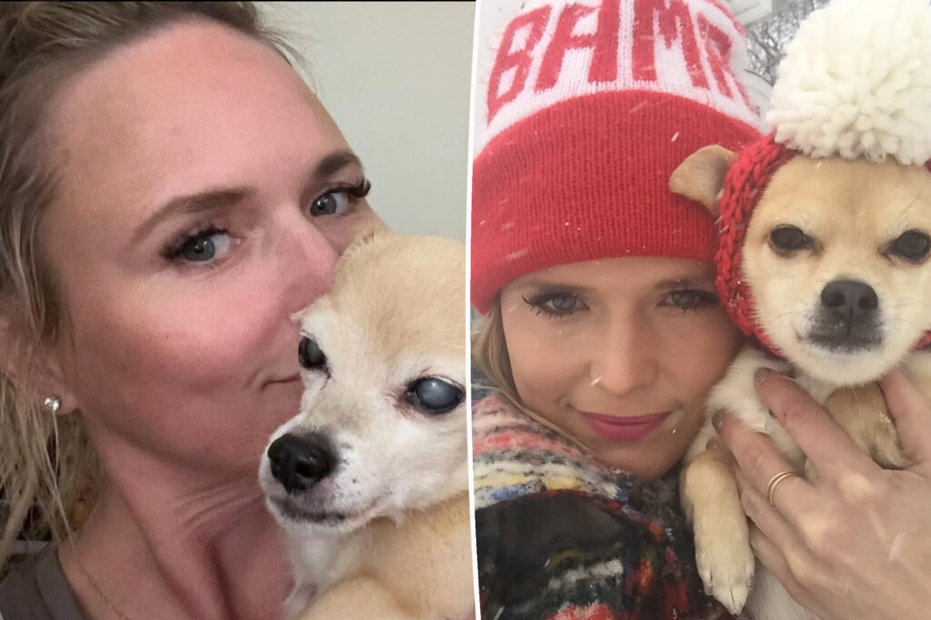 Miranda Lambert says goodbye to beloved 15-year-old rescue dog that’s been ‘on every tour’ she’s done since 2010