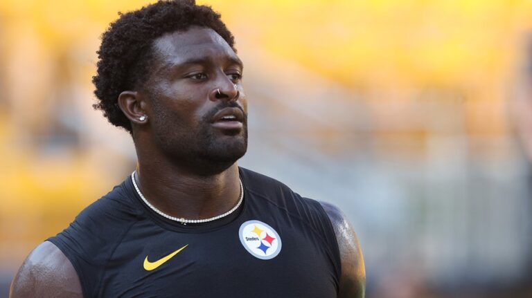 Steelers star faces major money issue if suspension for fan altercation is upheld