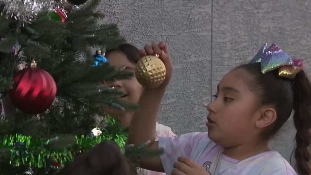 West Side neighbors rally to replace stolen Christmas tree