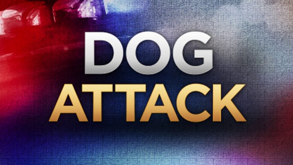 Woman bitten by 2 stray dogs while exercising on Southeast Side, police say