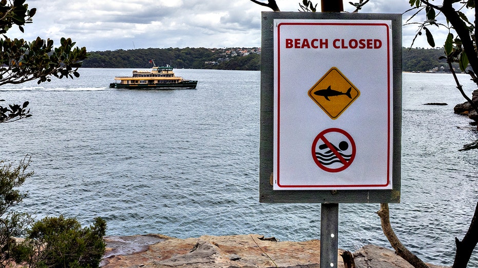 Australian boy fighting for life after shark attack, rescued by friends in Sydney Harbor waters