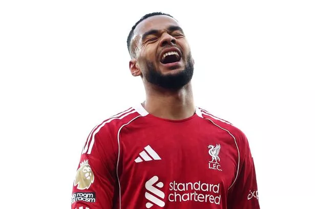 Cody Gakpo accused of cheating as ex-referee wants Liverpool forward banned