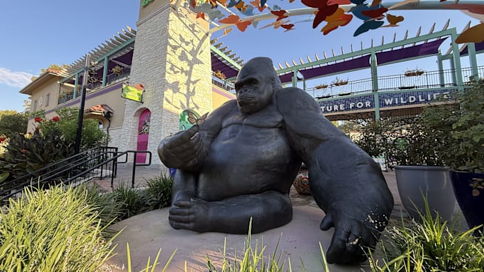 San Antonio Zoo offers $8 admission for Bexar County residents on Saturday