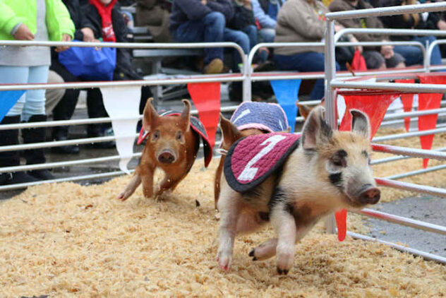 Hours, promotions and more: What to know about the 2026 San Antonio Stock Show & Rodeo