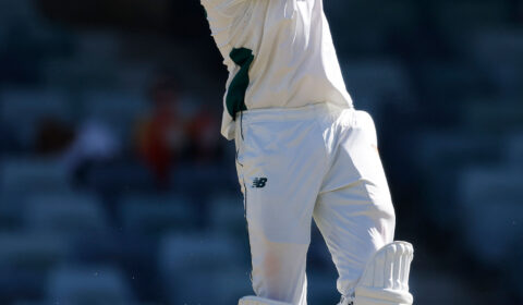 Richardson shines but Webster puts Tasmania in charge