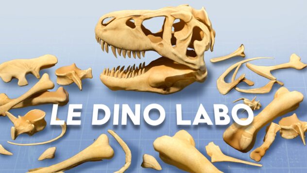 Mixed Reality Dinosaur Building Game Le Dino Lab Launches On Quest Today