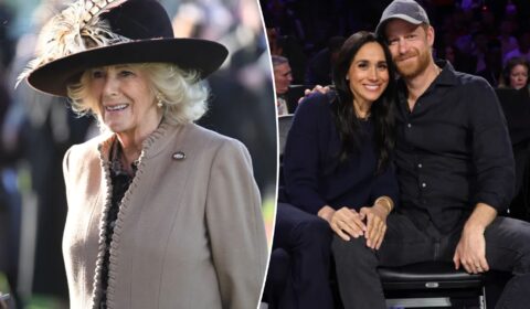 Queen Camilla told friend Meghan Markle ‘brainwashed’ Harry amid royal family feud, new book claims