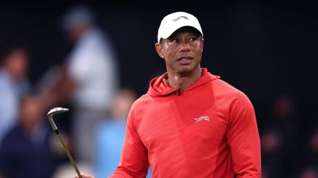 Sportscaster Jim Gray says Tiger Woods' DUI arrest is 'another cry for help'