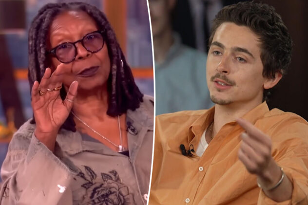 ‘The View’ co-hosts drag ‘vapid’ Timothée Chalamet after his ballet and opera diss