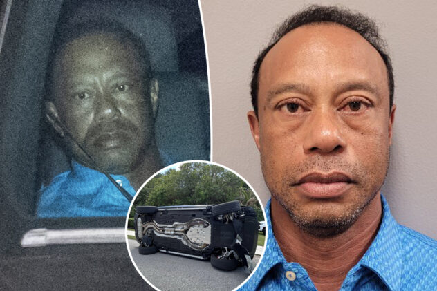 Tiger Woods’ PGA peers push for ‘accountability’ after golf icon’s DUI arrest