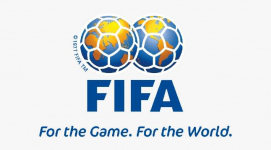 USA vs Belgium Highlights and Goals