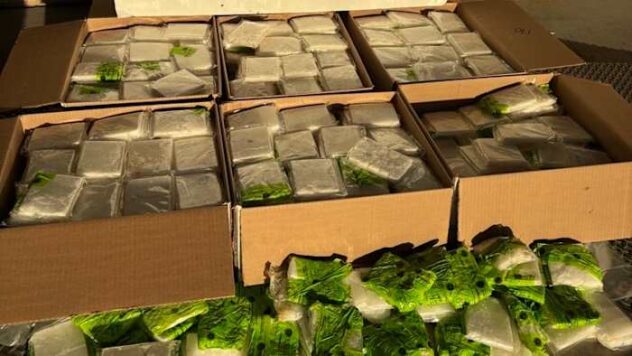 Border Patrol agents seize $2.6M+ in methamphetamine concealed in carrots shipment