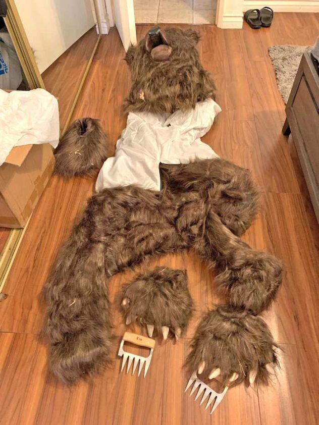 California bear-suit luxury car scam ends in insurance fraud sentences for 3