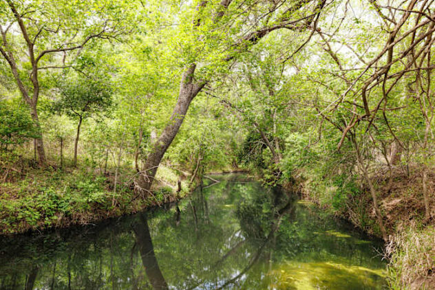 Lockhart State Park expands 188 acres with acquisition of neighboring properties