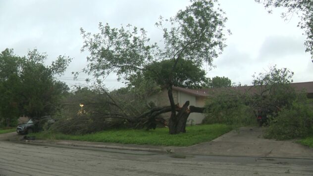 Kirby neighbors wake up to downed trees, damage after storm