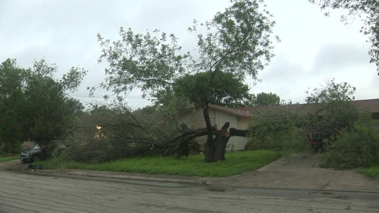 Kirby neighbors wake up to downed trees, damage after storm