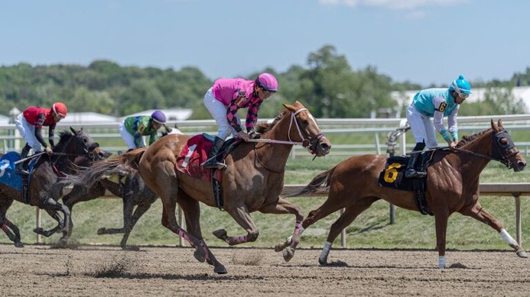 Preakness Stakes 2026: What to know about the second leg of horse racing's Triple Crown