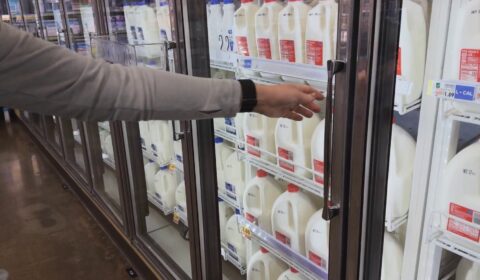 Rising beef and milk prices driven by drought, supply shortages