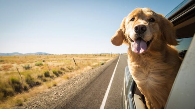 What we've been playing - "I'd like to shout out a fun game you can only really do on the road"