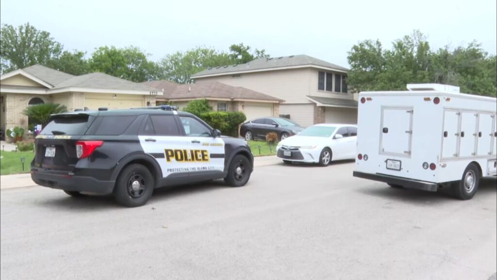 Woman, 80, hospitalized after pit bull bites her face outside home on Northwest Side, SAPD says
