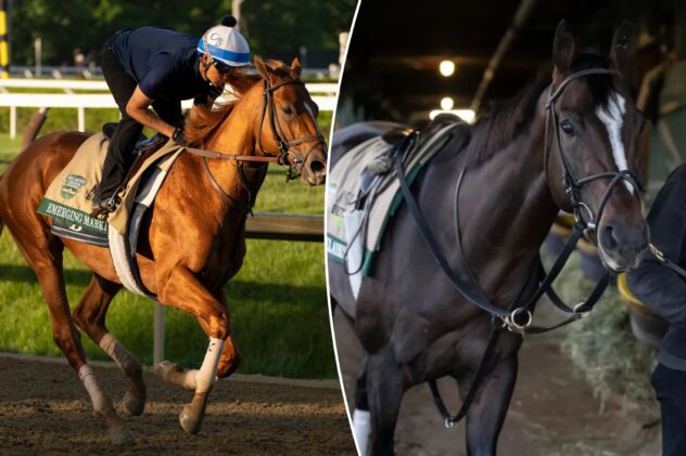 2026 Belmont Stakes prediection, preview, picks: Which horses to use in exactas, trifectas?