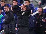 Everton vs Man City - Premier League RECAP: Advantage Arsenal! Pep Guardiola's men score at the death to claim a point but trail title rivals by five points with just one game in hand