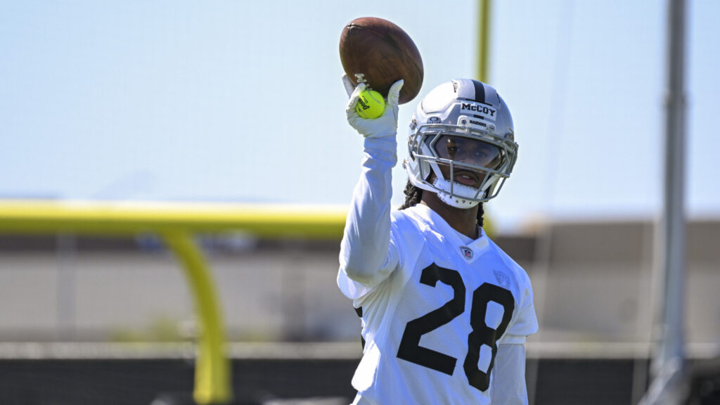 Former Tennessee Volunteer Recognized as Significant Value Addition for the Las Vegas Raiders