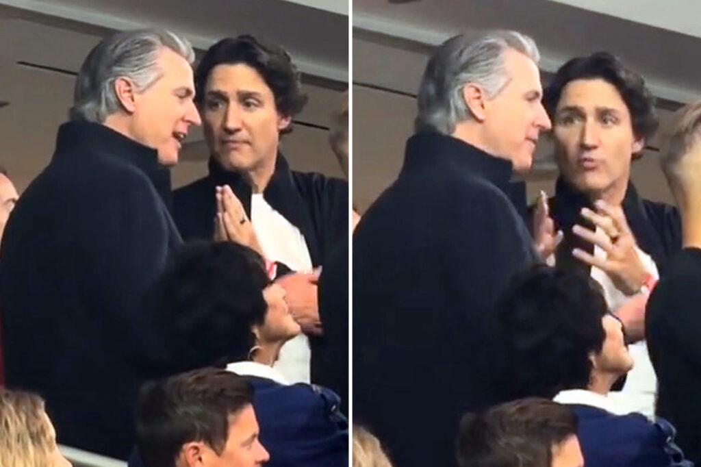 Gavin Newsom and Justin Trudeau spotted in animated discussion at World Cup