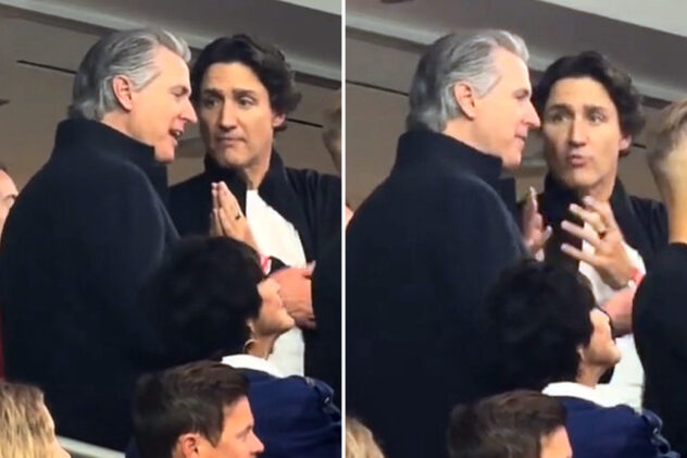 Gavin Newsom and Justin Trudeau spotted in animated discussion at World Cup