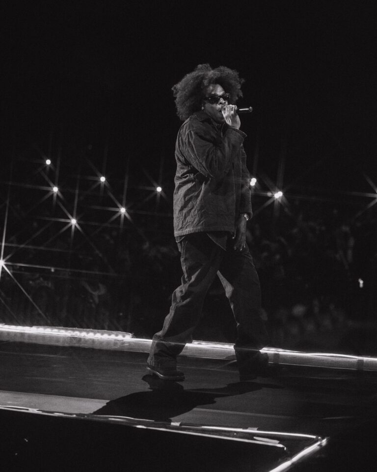 Here’s What Went Down at Jay-Z’s Headlining Roots Picnic Show