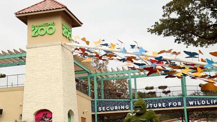Bexar County residents can visit San Antonio Zoo for $8 on Wednesday, July 22