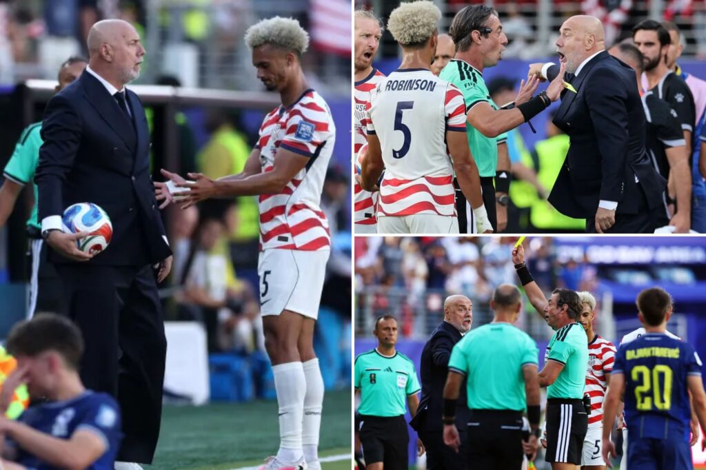 Bosnia-Herzegovina coach grabs ball, gets yellow card as he flips out in World Cup loss to USMNT