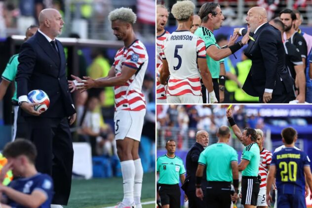 Bosnia-Herzegovina coach grabs ball, gets yellow card as he flips out in World Cup loss to USMNT