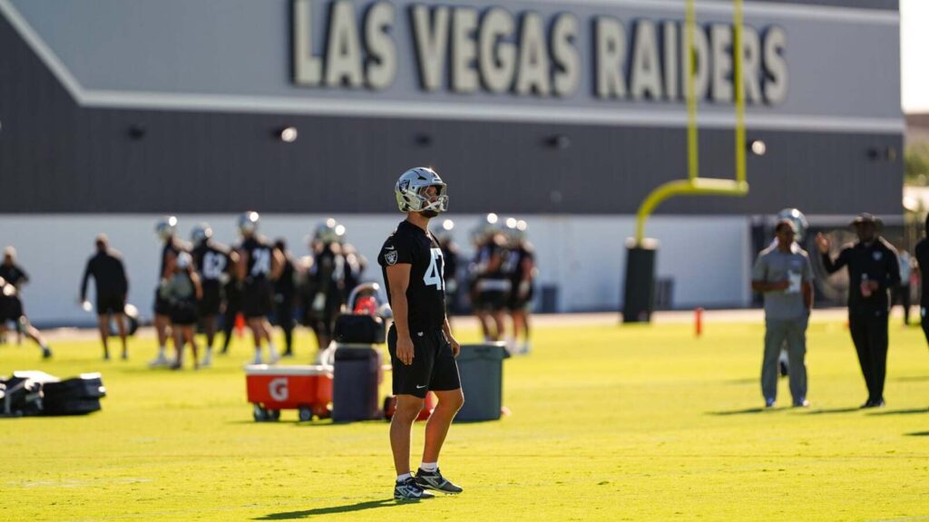 Las Vegas Raiders owner Mark Davis weighs in on grass fields movement after the World Cup