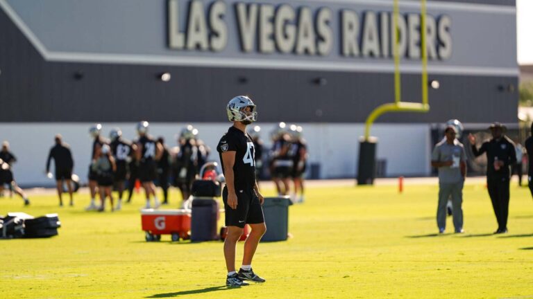 Las Vegas Raiders owner Mark Davis weighs in on grass fields movement after the World Cup