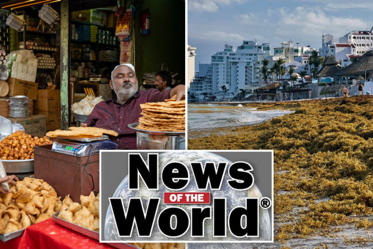 News of the World: What you missed this week internationally