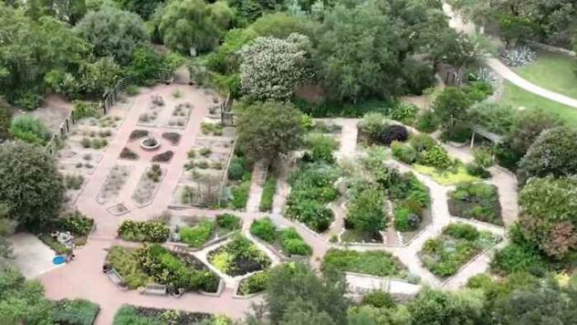 San Antonio Botanical Garden CEO says proposed city funding cuts could affect mission