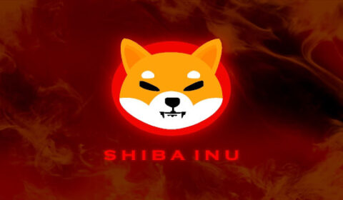 SHIB Price Prediction: Stochastic Hits Rock Bottom — Dead Cat Bounce or Real Reversal?