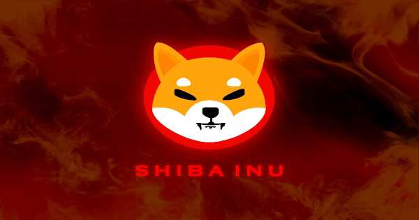 SHIB Price Prediction: Stochastic Screams Oversold But MACD Refuses to Confirm — Bears Still Have the Edge