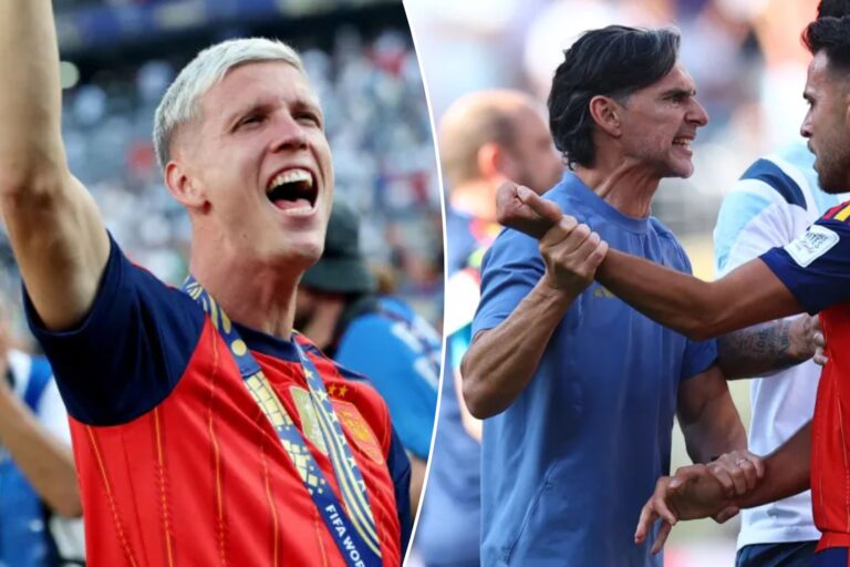 Spain star fumes at ‘lying’ Argentina coach who punched him during World Cup brawl