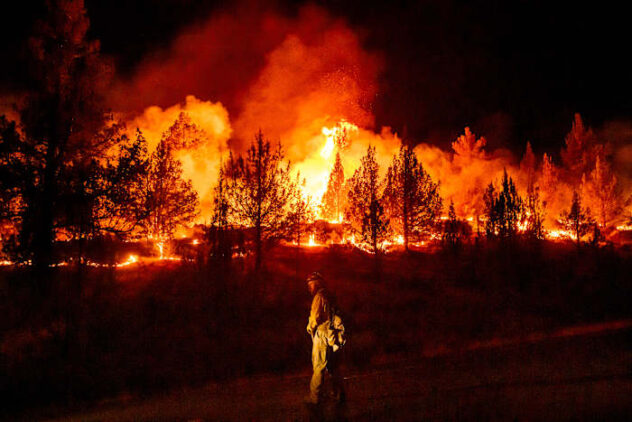 Wildfires are more extreme in Europe and North America, but global burning is oddly decreasing