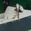 Brazilian player falls down tunnel during goal celebration