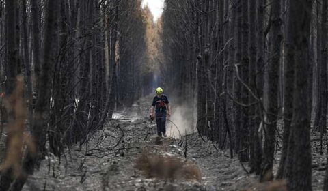 French wildfire near Bordeaux contained as 1,500 firefighters battle separate blaze in Provence