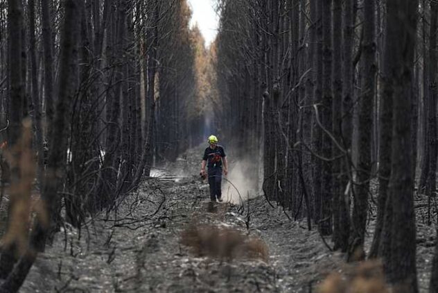 French wildfire near Bordeaux contained as 1,500 firefighters battle separate blaze in Provence