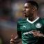 Man City sign Palmeiras winger Allan for £34m
